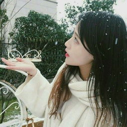 港边游轮停车无敌版